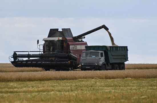 DPR Agriculture Wheat Harvesting
