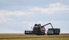 A combine harvester loads harvested wheat in a truck in a field in the village of Nikolskoye, Donetsk People's Republic. Location: Donetsk People's Republic. Author: RIA Novosti/Sputnik. DPR Agriculture Wheat Harvesting