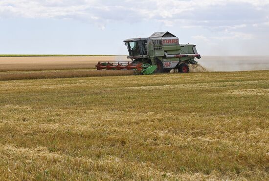 DPR Agriculture Wheat Harvesting