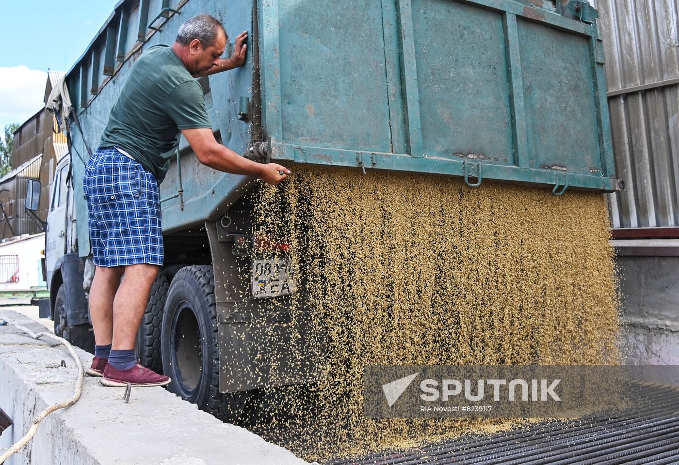 DPR Agriculture Wheat Harvesting