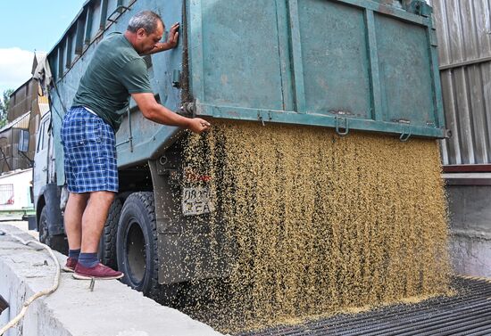 DPR Agriculture Wheat Harvesting