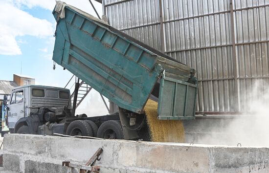 DPR Agriculture Wheat Harvesting