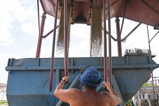 DPR Agriculture Wheat Harvesting