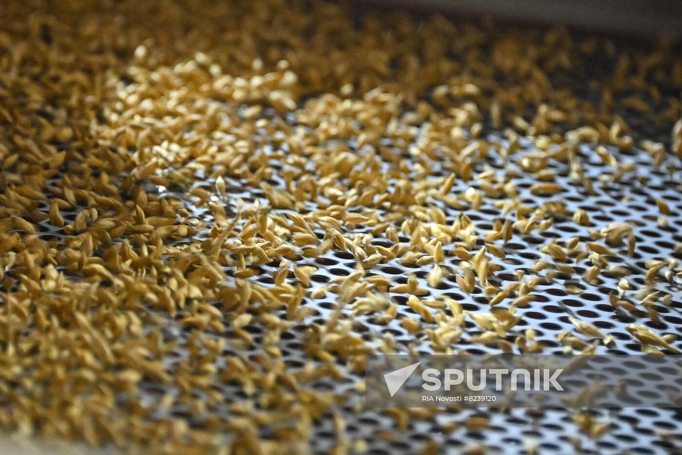 DPR Agriculture Wheat Harvesting