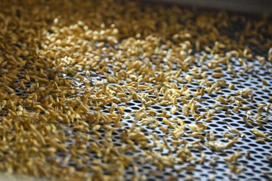 DPR Agriculture Wheat Harvesting