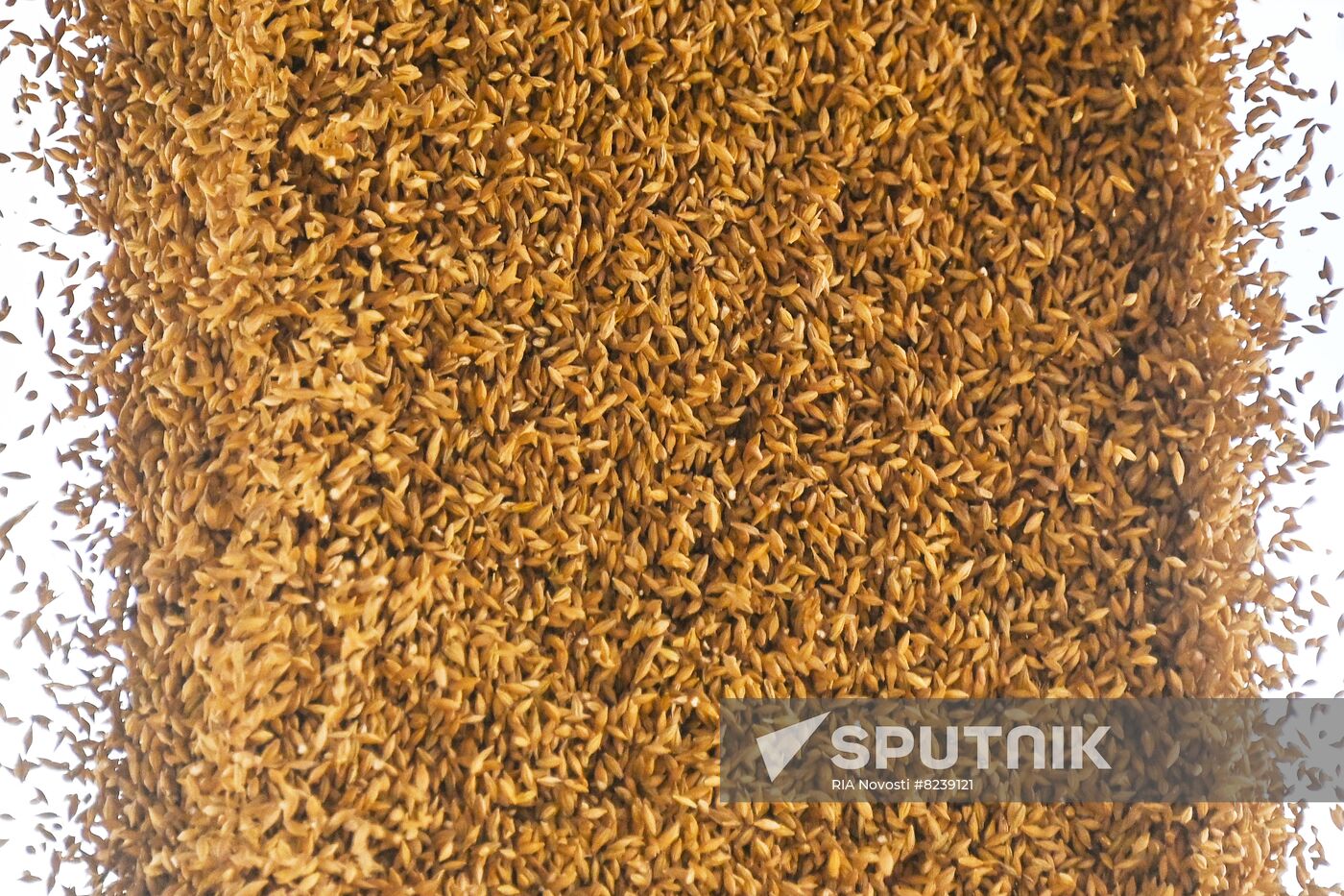 DPR Agriculture Wheat Harvesting