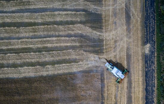 DPR Agriculture Wheat Harvesting