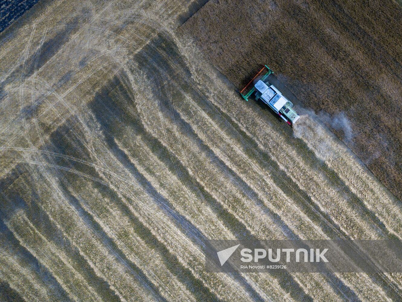 DPR Agriculture Wheat Harvesting