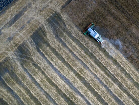 DPR Agriculture Wheat Harvesting