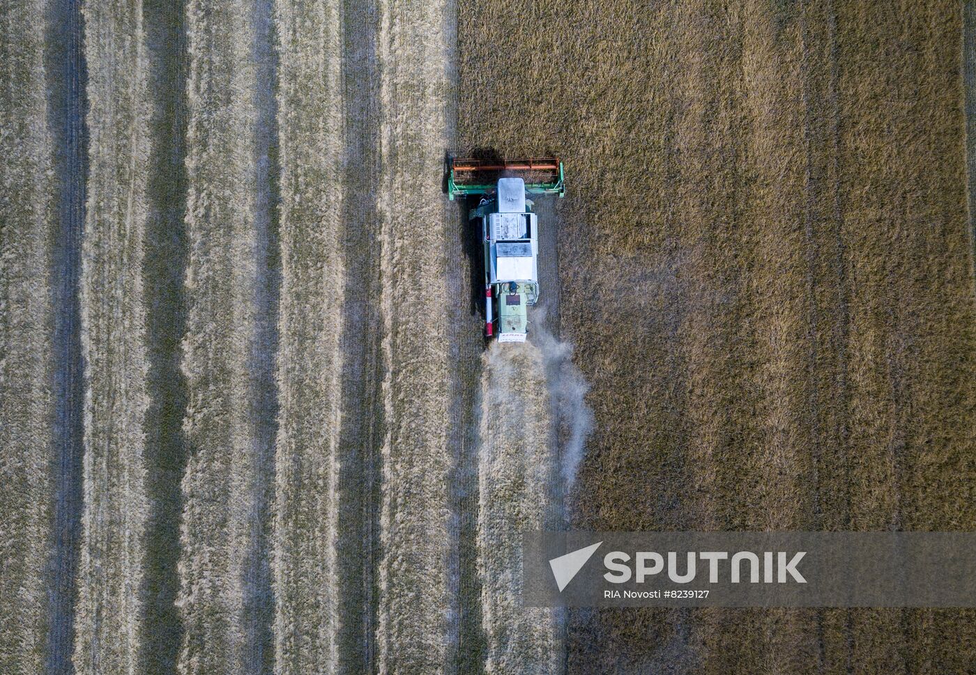 DPR Agriculture Wheat Harvesting