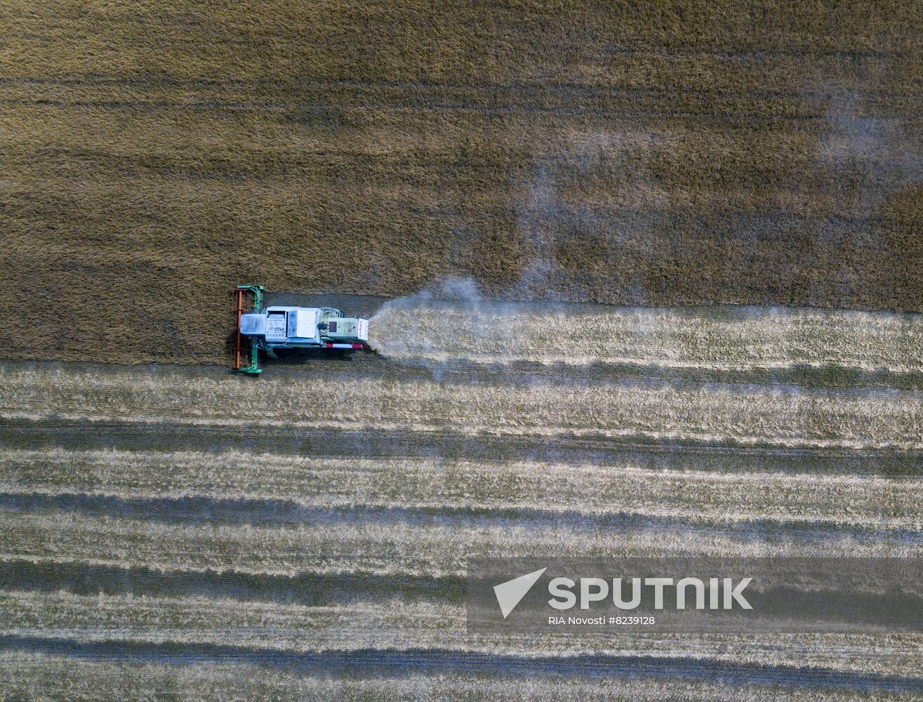 DPR Agriculture Wheat Harvesting