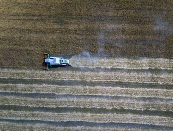DPR Agriculture Wheat Harvesting