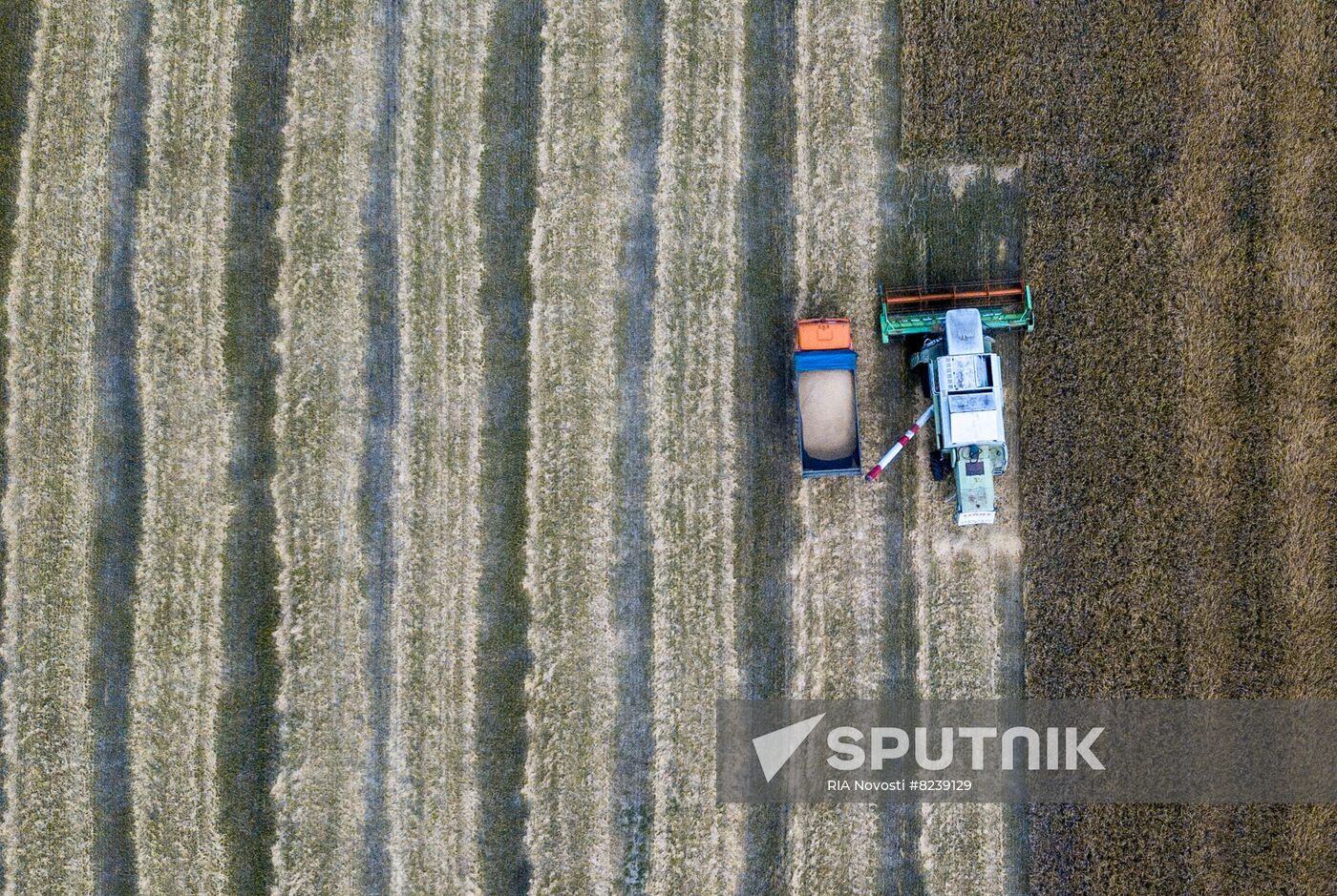 DPR Agriculture Wheat Harvesting