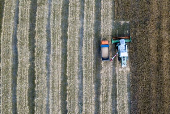 DPR Agriculture Wheat Harvesting