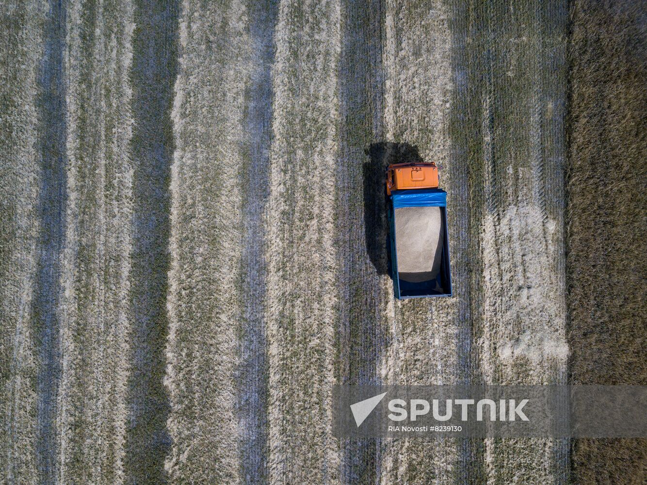 DPR Agriculture Wheat Harvesting
