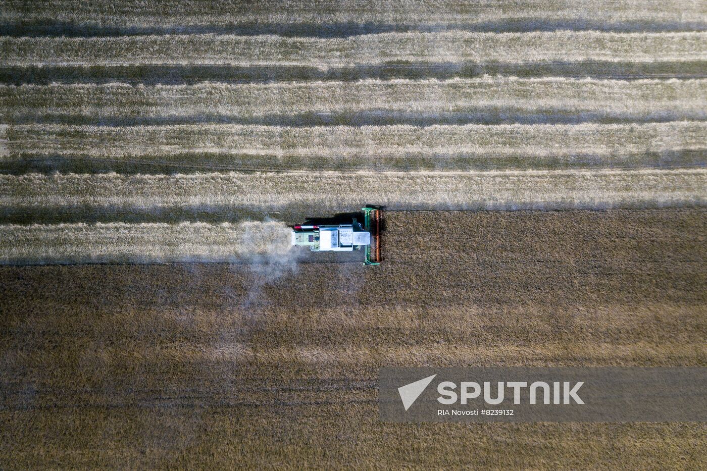 DPR Agriculture Wheat Harvesting