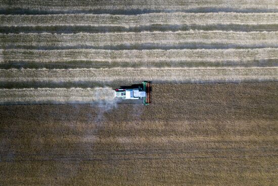 DPR Agriculture Wheat Harvesting