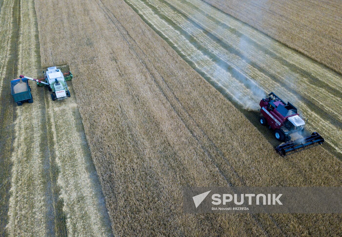 DPR Agriculture Wheat Harvesting