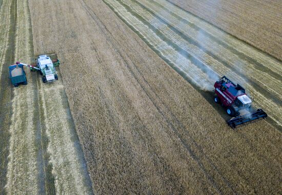 DPR Agriculture Wheat Harvesting