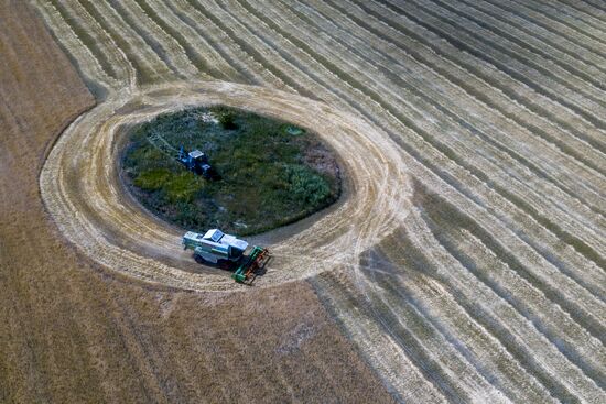 DPR Agriculture Wheat Harvesting
