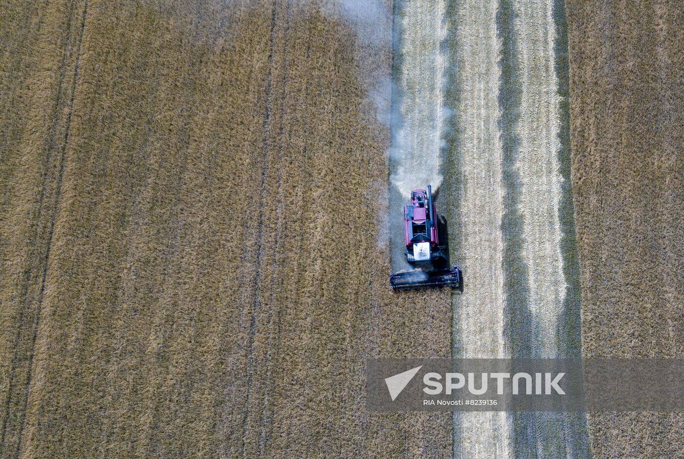 DPR Agriculture Wheat Harvesting