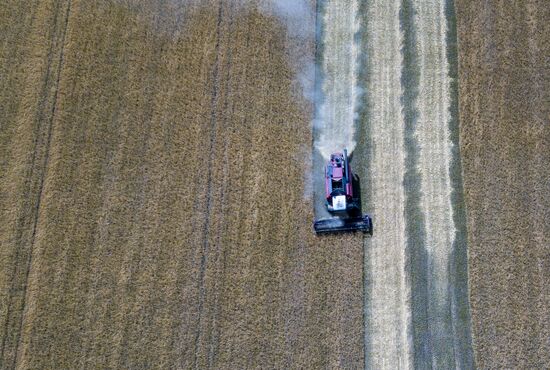 DPR Agriculture Wheat Harvesting