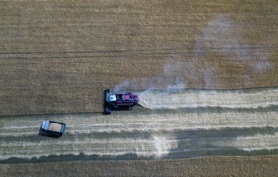 DPR Agriculture Wheat Harvesting