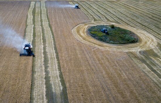 DPR Agriculture Wheat Harvesting