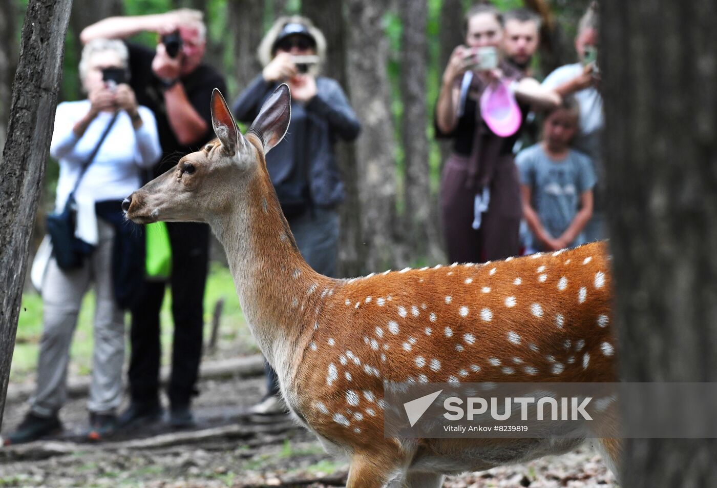 Russia Safari Park