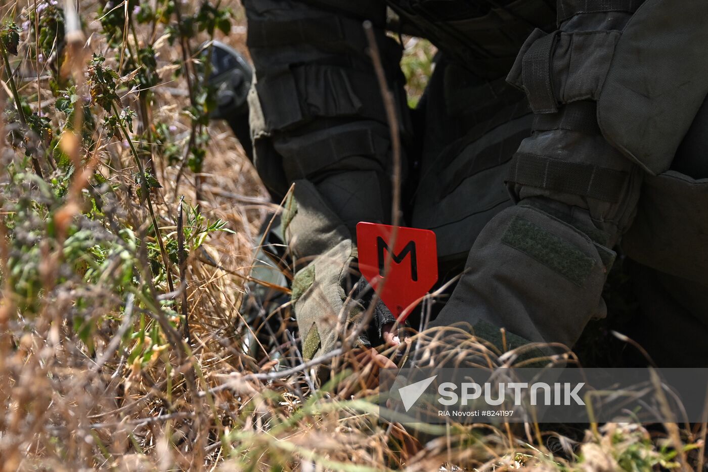 DPR Russia Ukraine Military Operation Demining