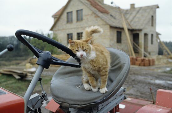Farm of Vitaly Teivans