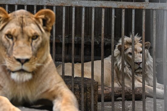 DPR Zoo