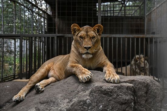 DPR Zoo