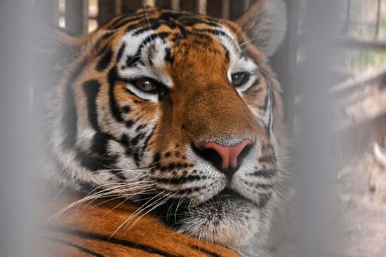 DPR Zoo