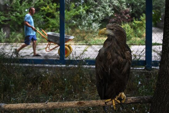 DPR Zoo