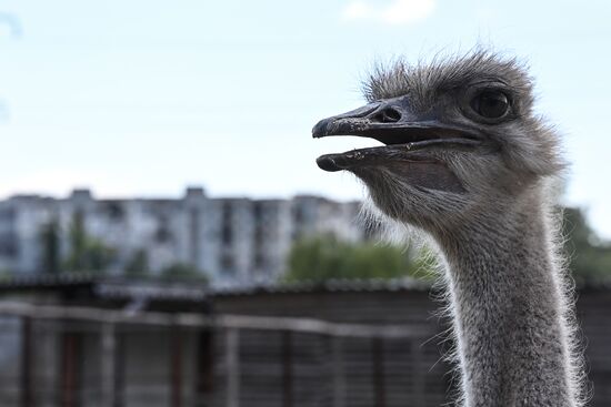 DPR Zoo