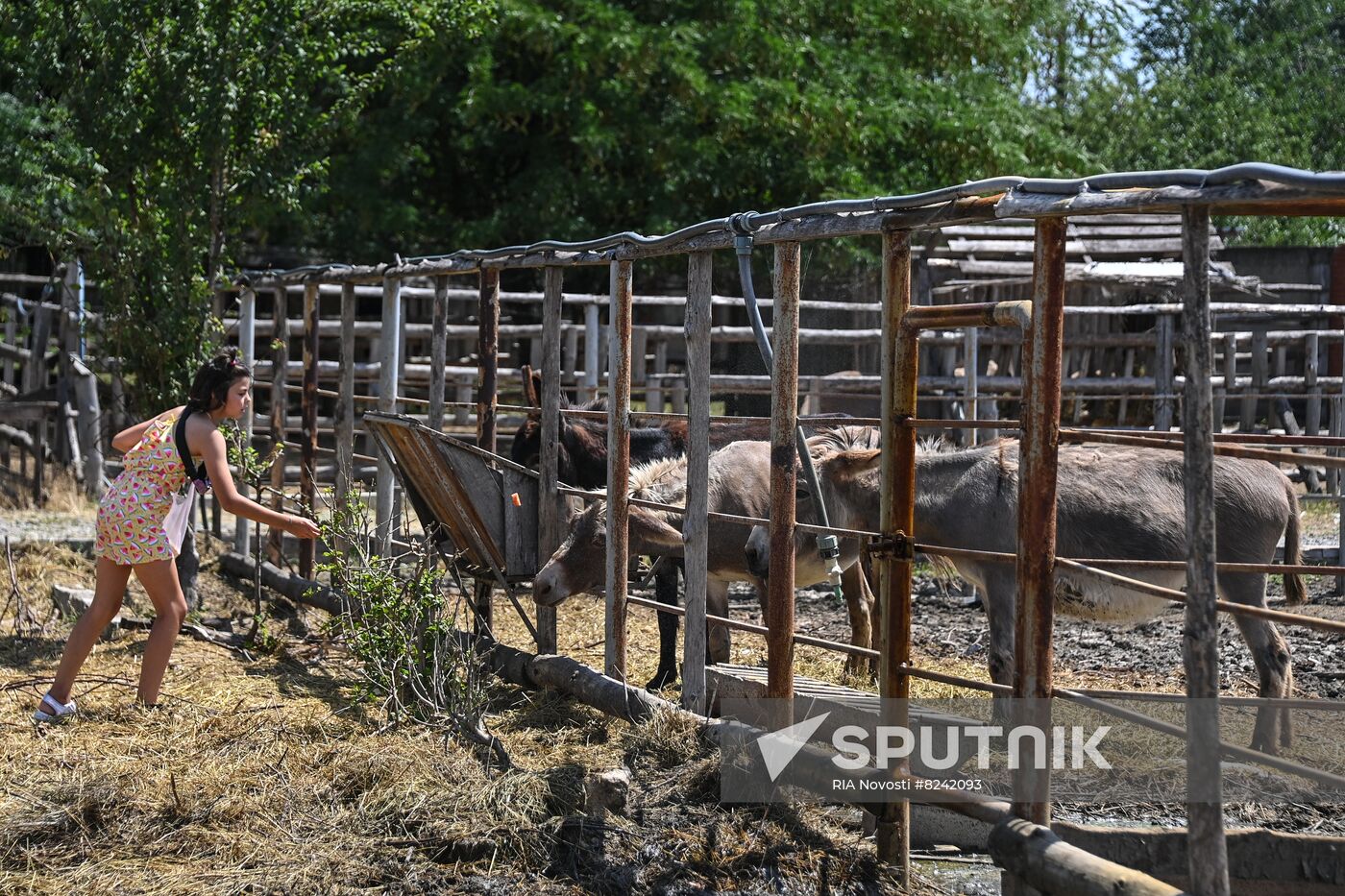 DPR Zoo