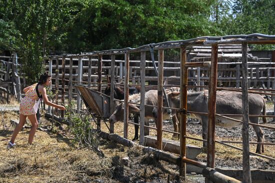 DPR Zoo
