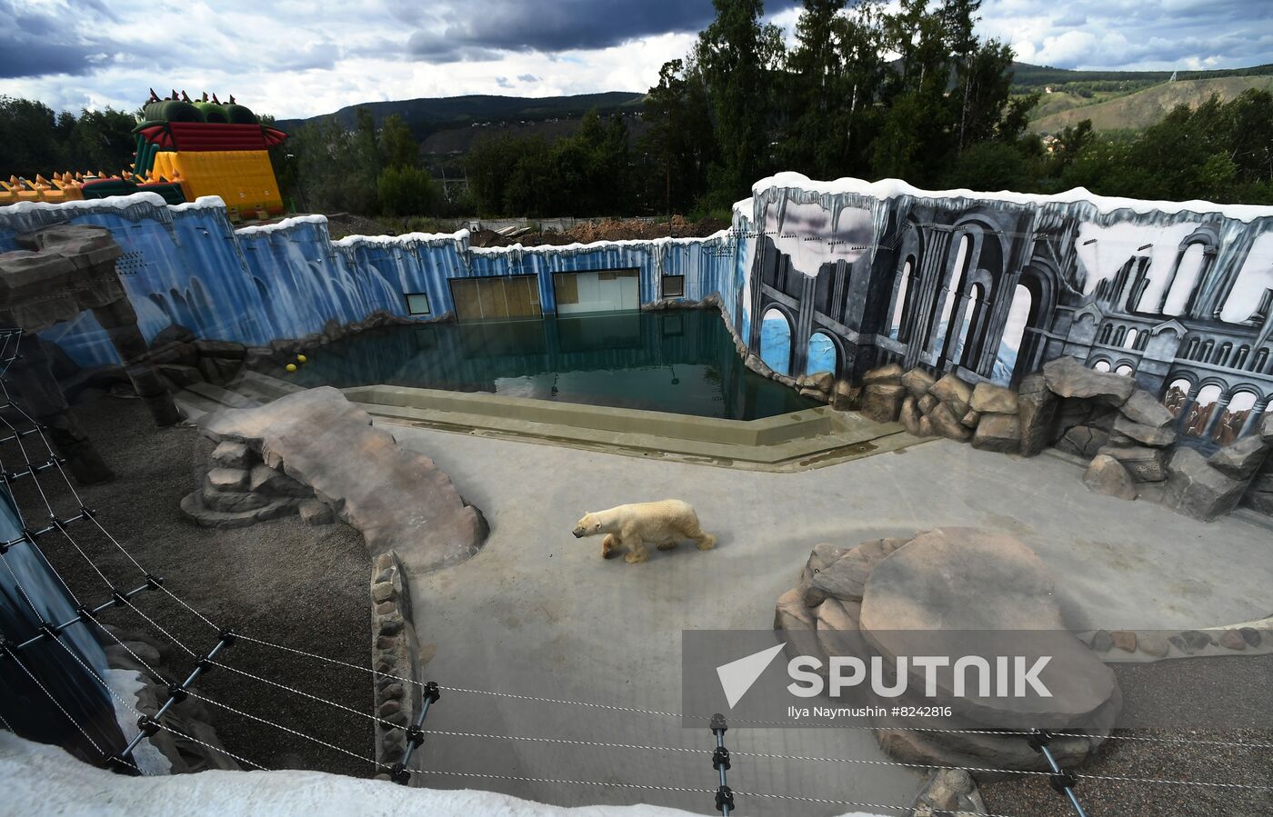 Russia Zoo Polar Bears