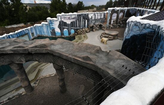 Russia Zoo Polar Bears