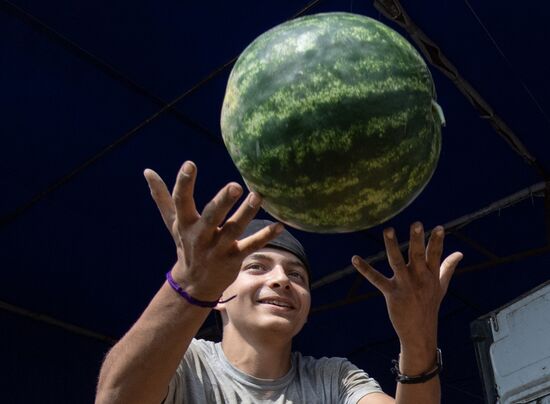 Russia Agriculture Watermelons Season