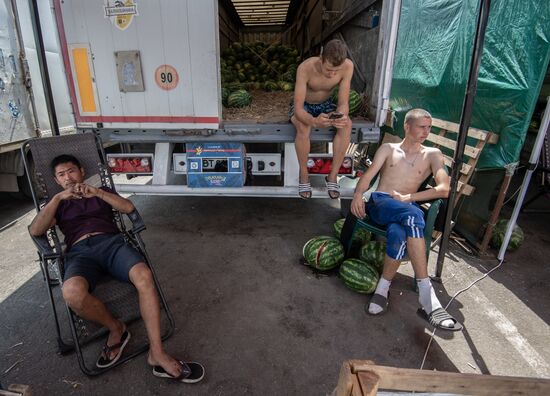 Russia Agriculture Watermelons Season