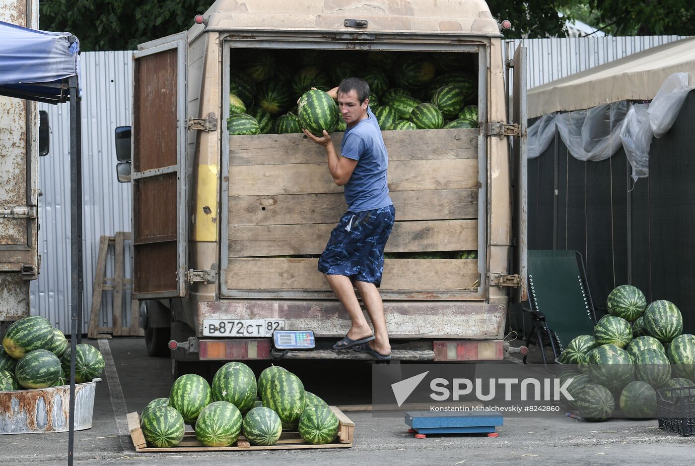 Russia Agriculture Watermelons Season