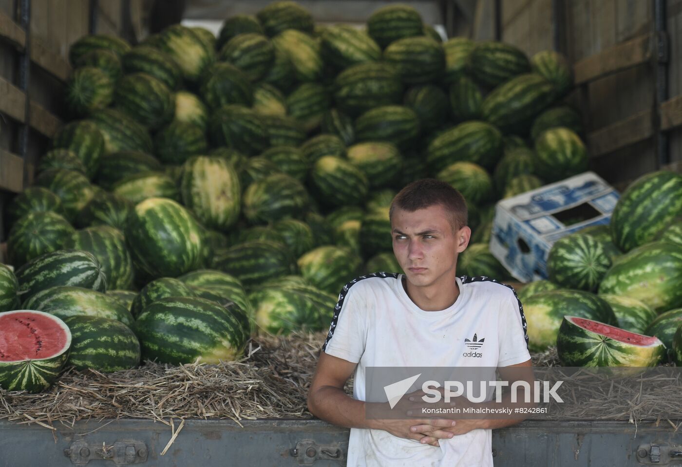 Russia Agriculture Watermelons Season