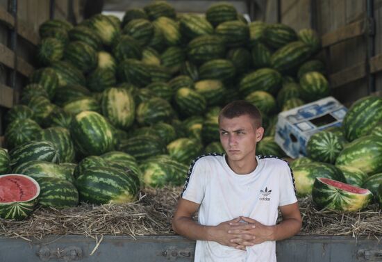 Russia Agriculture Watermelons Season