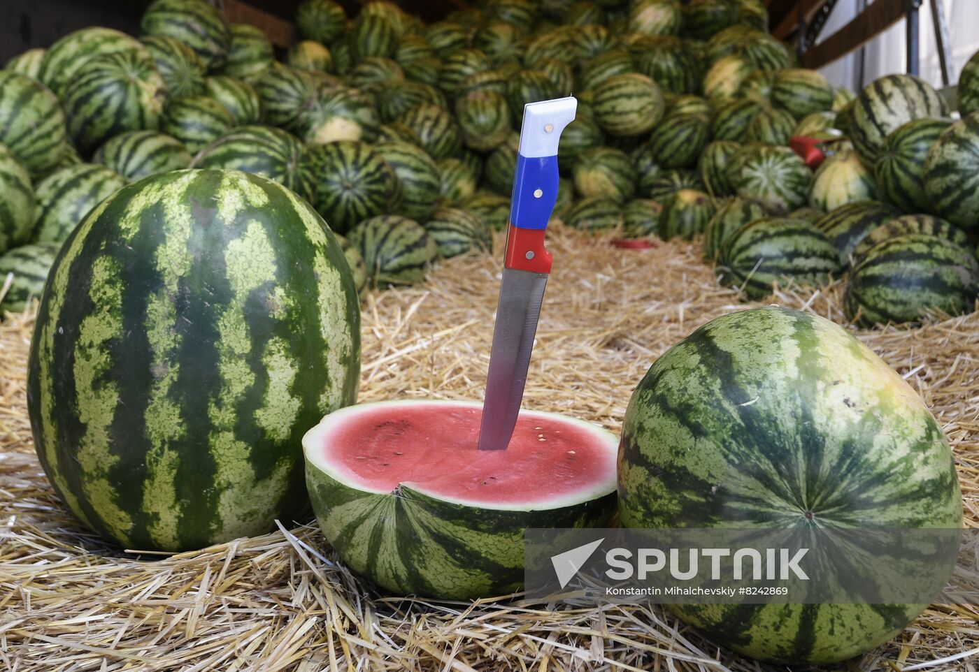 Russia Agriculture Watermelons Season