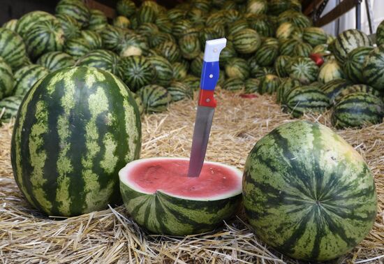 Russia Agriculture Watermelons Season