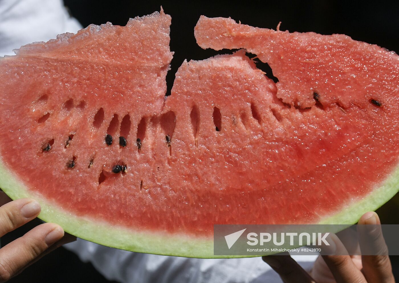 Russia Agriculture Watermelons Season