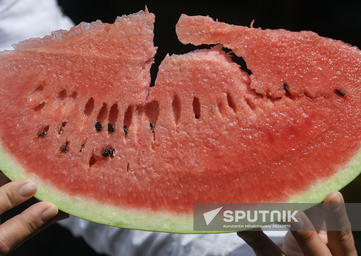 Russia Agriculture Watermelons Season