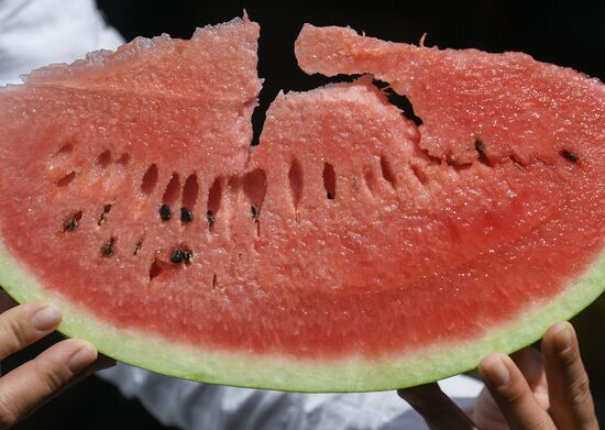 Russia Agriculture Watermelons Season